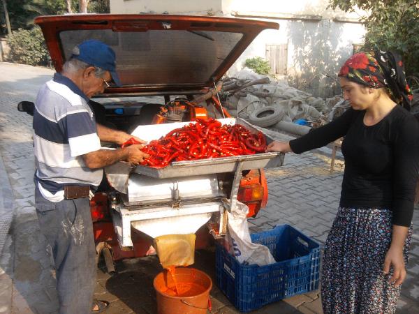 Otomobilin bağajında salçalık biber çekiyor