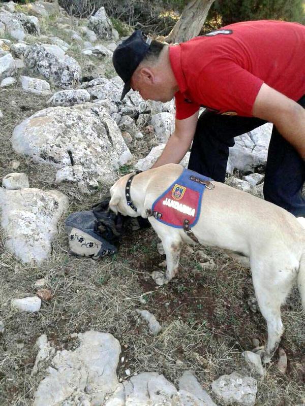 Kayıp kadını, iz takip köpeği buldu