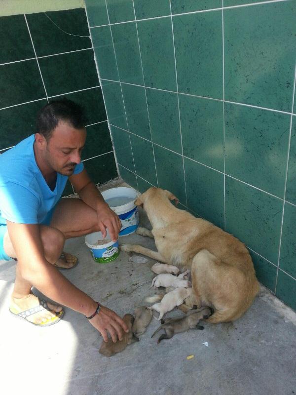 6 yavrusuyla yardım bekliyor