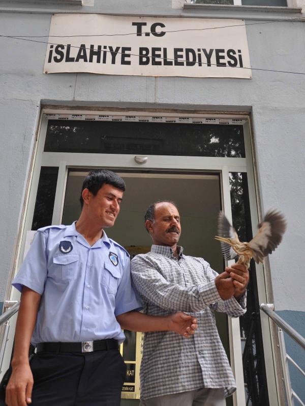 Parkta bulunan yaralı balıkçıl tedaviye alındı