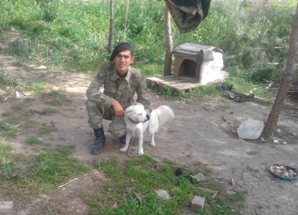Turgutlu'ya da şehit ateşi düştü