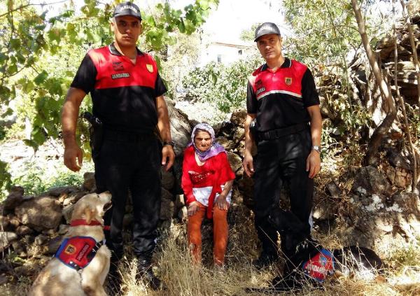 Kayıp yaşlı kadın ormanda bulundu