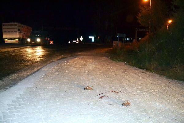 Karakoldan çıkmasını bekleyip av tüfeğiyle öldürdü