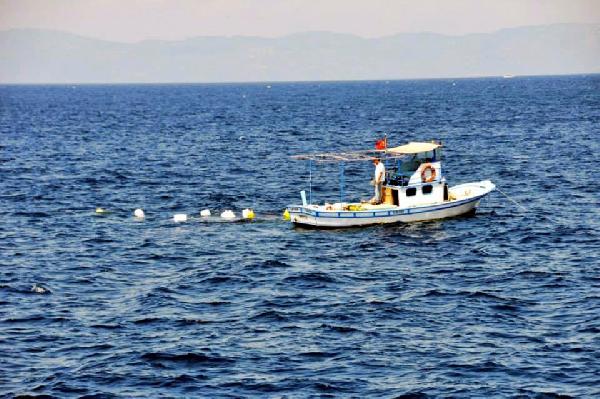 Ayvalık'ta kırmızı mercanları kurtaracak proje