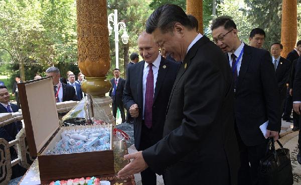 Putin'den Şi Cinping'e Rus dondurması