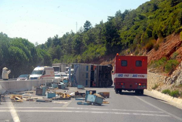 Kovan yüklü kamyon devrildi, 100'den fazla kişiyi arı soktu