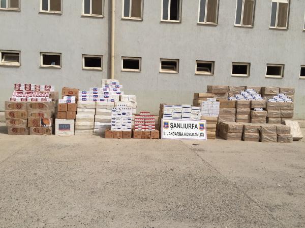 Suruç'ta aranan evde 97 bin paket kaçak sigaraya 4 gözaltı