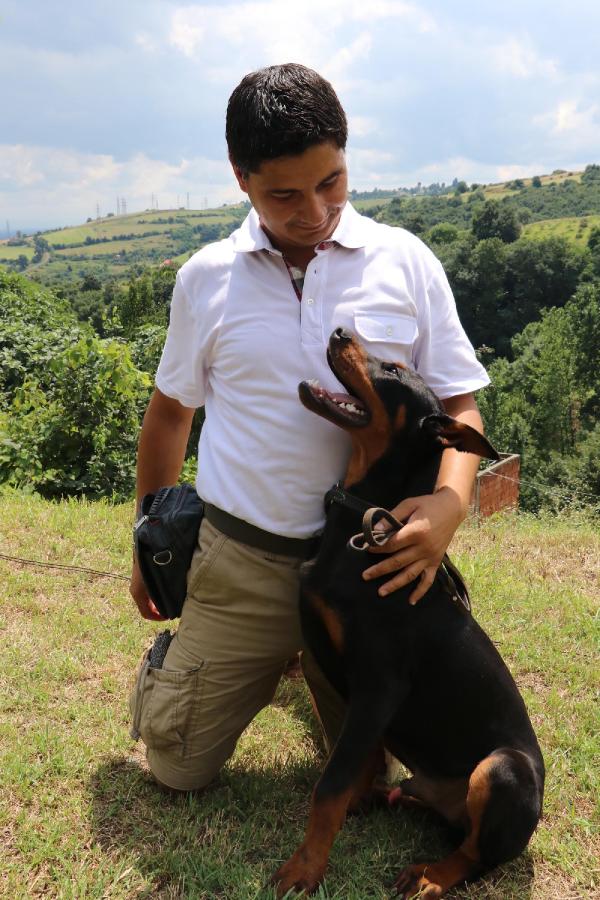 Köpeklere 'insanmış gibi' davranmayın uyarısı