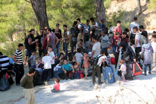 130 Syrian migrants found in forestry, seeking seasonal work in Aegean province