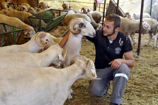 Kurbanlık piyasası hala çok sessiz