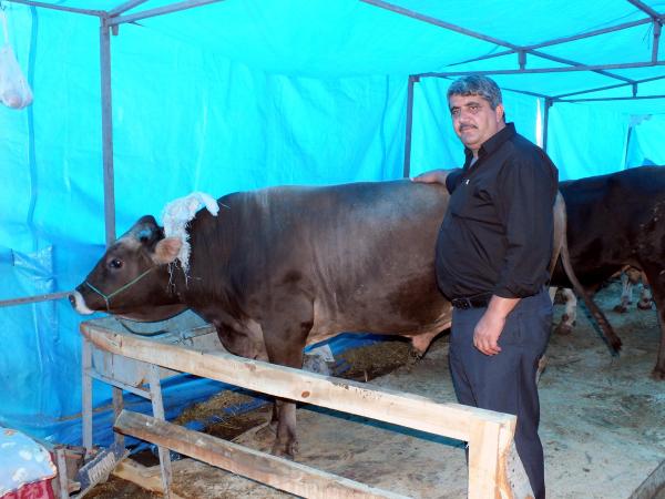 Ziraat Odası Başkanı: Kurbanlık alırken doğulu-batılı ayrımı yanlış