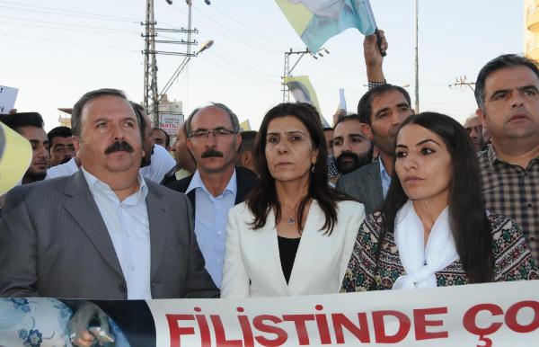 Van'da Cizre için yürüyüş