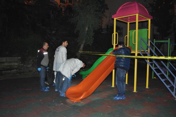 Park cinayeti sanığına 15 yıl hapis