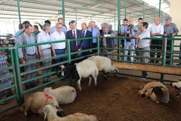 Manisa'da Vali Bektaş'tan Hayvan Borsası'nda inceleme
