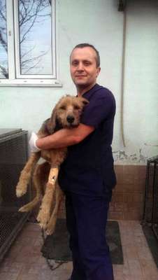 Domuz saldırısından köpeği kurtardı