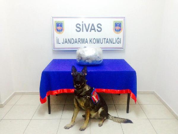 Sivas'ta uyuşturucu ve sigara operasyonu