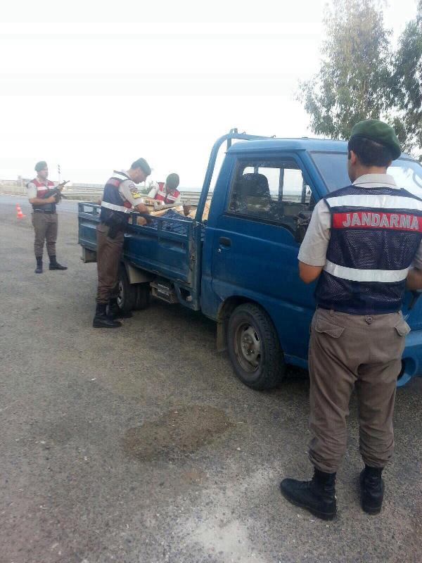 Kablo hırsızı yakalandı