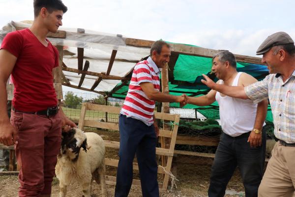 Samsun Kasaplar Odası: Marketlerin kurban satması ve kredi kartına taksit bizi olumsuz etkiliyor