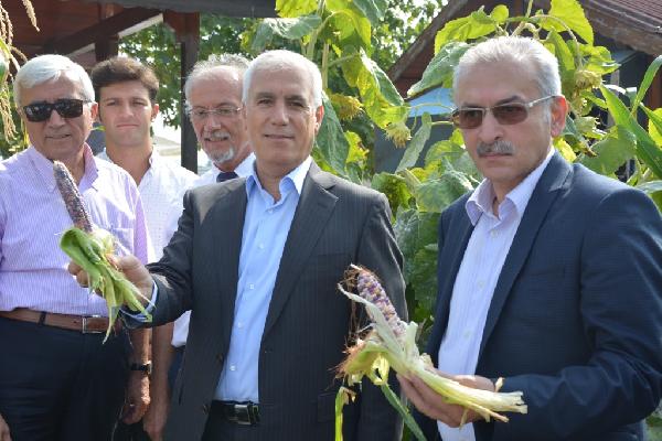 Bu bahçede tüm ürünler doğal ve GDO’suz