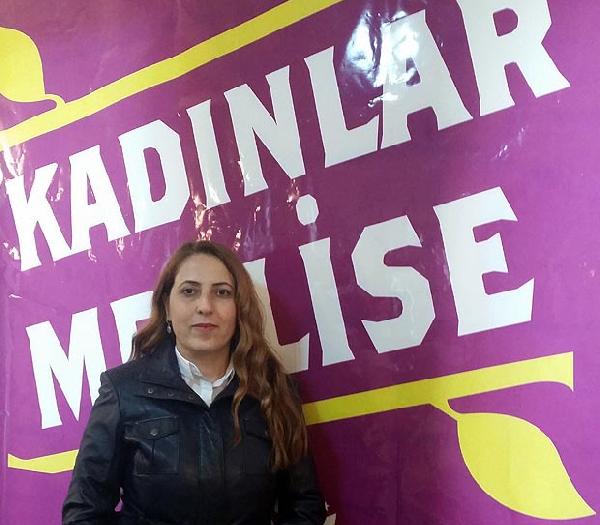 HDP listesinde Hülya Avşar heyecanı