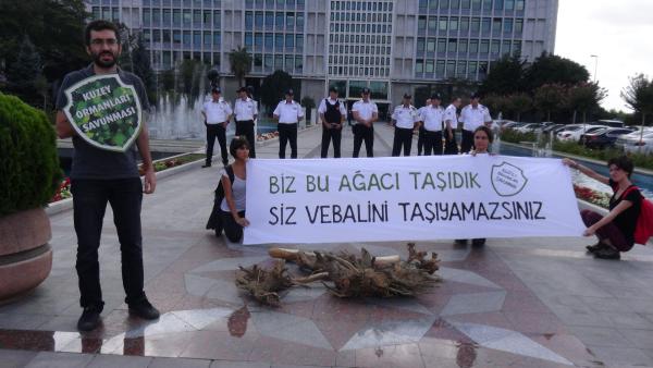 Kuzey Marmara için içeride oylama dışarıda eylem
