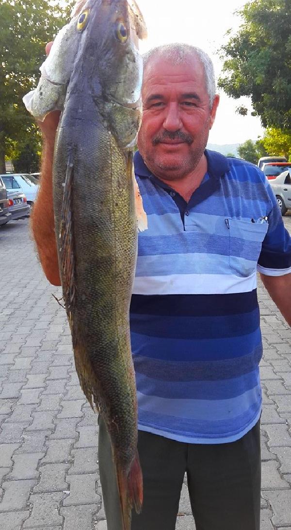 Kızılırmak'ta 5 kiloluk levrek yakalandı