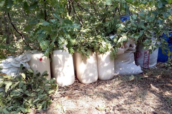 Tunceli'de hava operasyonunda vurulan 30-35 PKK'lıdan 10'unun cesedi bulundu (2)