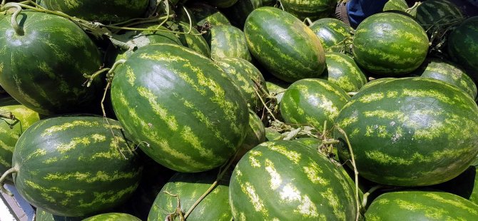 41 ton Türk karpuzu Almanya yolcusu