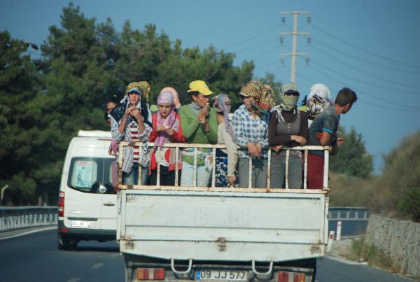 Hiç ders almadık