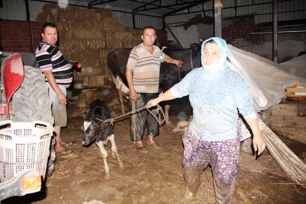 Sarıgöl'de sağanak yağış etkili oldu