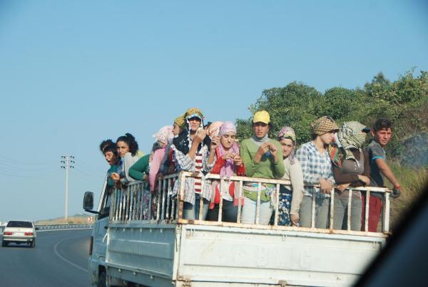 Agricultural workers: Turkey refuses to learn from deadly accidents