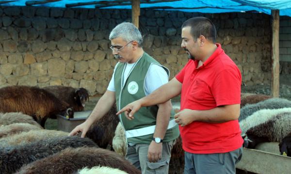 Kurbana eziyet edene para cezası