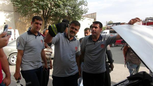 Otomobile giren yılanı itfaiyeciler öldürdü