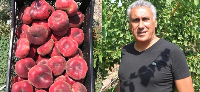 Gurbetçi memleketinde 60 ton meyve üretiyor