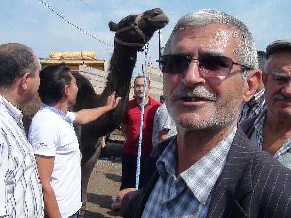 Çorum'da kurbanlık develere alıcı çıkmıyor