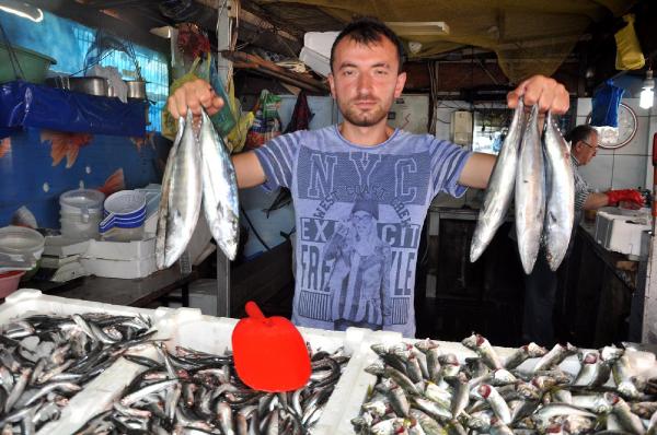 Zonguldak'ta balık satışları düşük