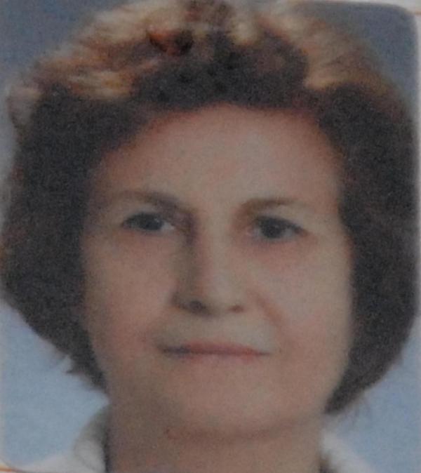 Bayram alışverişine giderken kamyonet altında kalan kadın öldü
