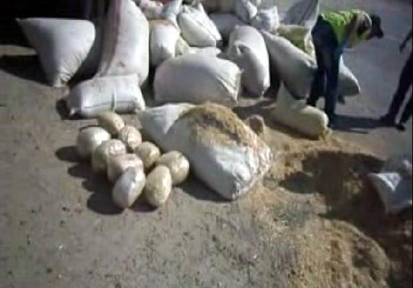 Saman yüklü TIR'dan 20 kilo esrar ile küpesiz 30 koyun çıktı