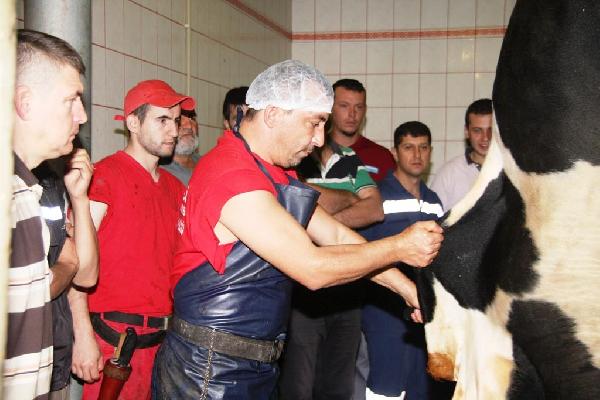 Acemi kasaplara uyarı
