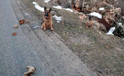 Silvan'da yola tuzaklanan 50 kilo patlayıcı imha edildi