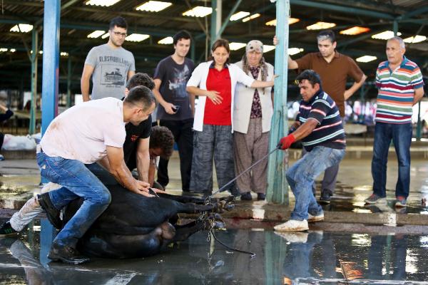 Antalya'da Kurban Bayramı manzaraları