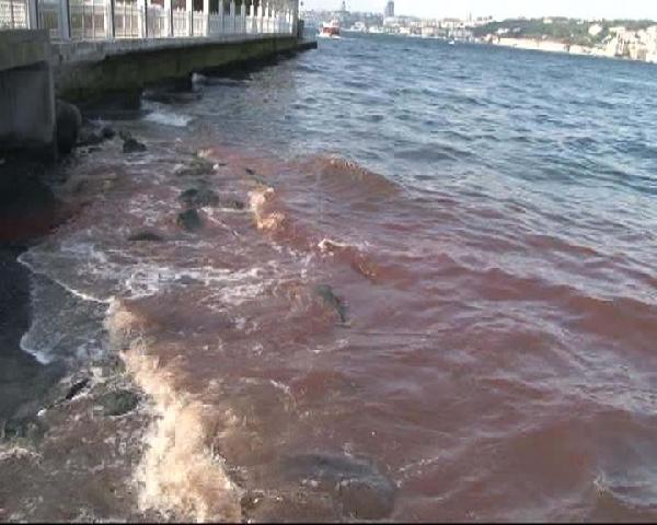 Boğaz yine kırmızıya büründü