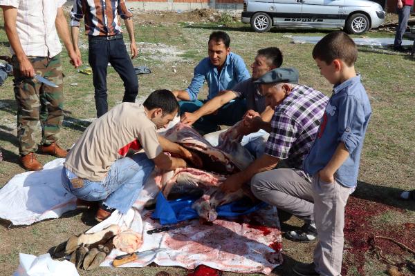 Samsun’da kurban kesimi manzaraları