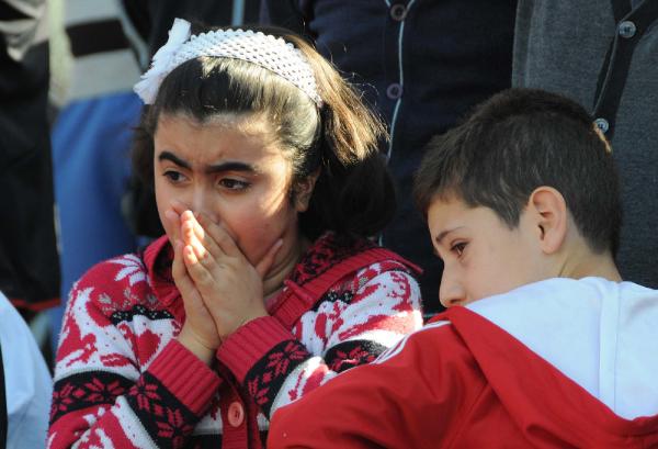 Sivas'ta kaçan tosun uyuşturucu iğneyle yakalandı