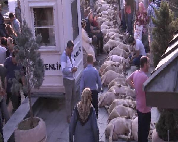 Eyüp Sultan'da 46 şehit için 46 kurban kesildi