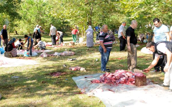 Giresun’da kadın ve çocuk kasaplar işbaşında