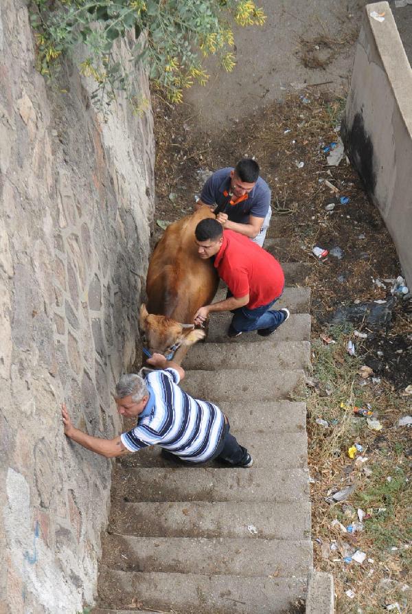 İzmir'de Kurban Bayramı kutlamalarında manzara değişmedi (2)