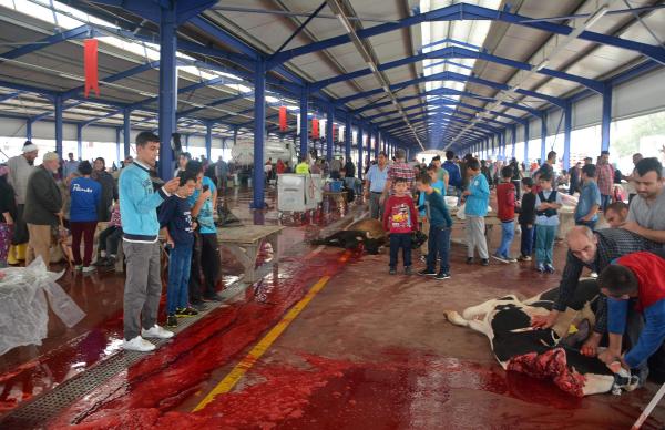 Büyükler kurban kesti, küçükler cep telefonuna çekti