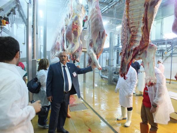 Türk Kızılayı: Yurt içinde 4 kombinada, yurt dışında 17 ülkede kurban kesimi yapıyoruz
