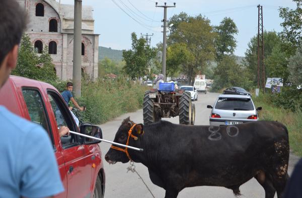 Bursa’da sokakta kurban kesme manzarası değişmedi (2)